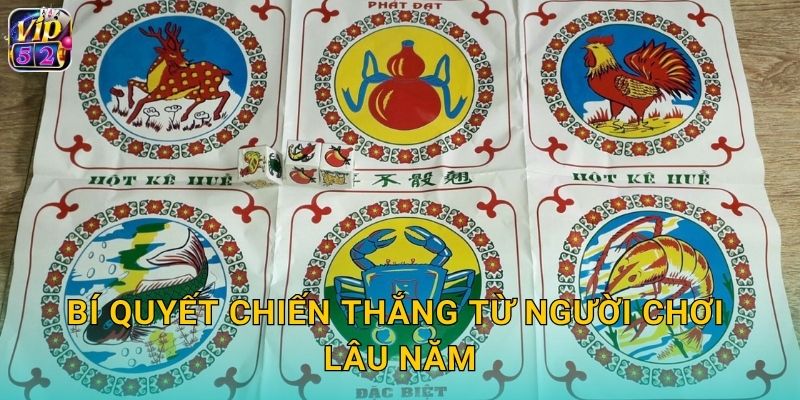 Bầu Cua Tôm Cá Vip52 Tết Việt Truyền Thống 3 Bí quyết chiến thắng từ người chơi lâu năm